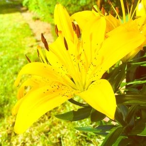 Meet your Posher, Briana